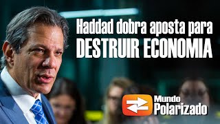 Haddad dobra a aposta para DESTRUIR ECONOMIA do Brasil [upl. by Darnok]