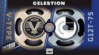 CELESTION G12T75 VS CELESTION VTYPE  Speaker Comparison  Mix  Marshall 1936 CAB [upl. by Ellenahs27]