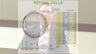 Positive Results from Randomized Controlled Trials of MCO10 Gene Therapy for RP amp Stargardt [upl. by Murat180]