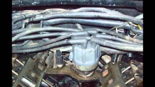 Grand Cherokee Limited 52 V8  Miki Motors [upl. by Wedurn540]