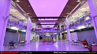 RETAIL  Paris France Barrisol Acoustics Light RGB® [upl. by Ramedlab644]