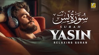 Ramadan Special  Surah Yasin Yaseen سورة يس  Relaxing Heart Touching Recitation  Zikrullah TV [upl. by Darline]