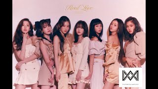 Oh My Girl오마이걸  KISS amp FIX MV  2ND ALBUM Real Love [upl. by Sesiom]