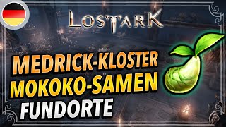 West Luterra  Medrick Kloster MOKOKO Samen  Alle 13 Fundorte erklärt  Lost Ark Deutsch  Seeds [upl. by Ahsemad469]