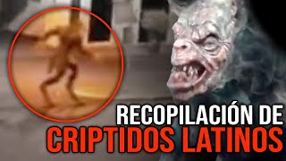 Recopilación De CRIPTIDOS LATINOS  5 Historias De Terror REALES de Criptozoología [upl. by Oetsira]