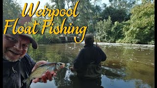 Float Fishing  Weir Pool Magic Video 262 [upl. by Koa]