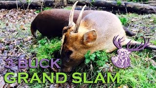 TROPHY MUNTJAC HUNT  THE 3 BUCK GRAND SLAM [upl. by Duong]