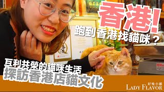 跑去香港玩貓  探訪香港店貓文化【好味貓旅行】EP1 [upl. by Yablon]