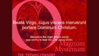 O Magnum Mysterium  NICHOLAS WHITE [upl. by Yrelav206]