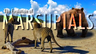 Australia the last land of MARSUPIALS [upl. by Ahsenom]