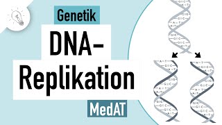 DNA Replikation einfach erklärt  Genetik  MedAT  Biologie [upl. by Aymik]