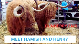 DUNDERRY FAIR WITH HAMISH AND HENRY [upl. by Kristin959]