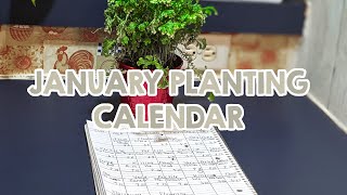 January 2024 Garden Planner  Plan With Me  Moon Gardening  Astrological  The Zodiac bujo [upl. by Lyndell]