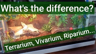 Differences between terrarium riparium vivarium etc [upl. by Ydne]