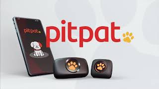 PitPat Dog GPS Tracker 2022 [upl. by Dettmer]