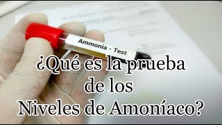 ¿Qué es una prueba de niveles de amoníaco [upl. by Stark]