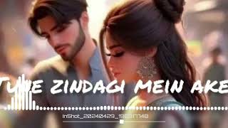 tune zindagi mein ake romantic love story2024lofi slowed song trending tunezindegimainake [upl. by Kannry]