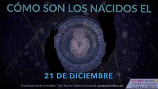 Cómo son los NACIDOS el 21 de Diciembre [upl. by Aleacin856]