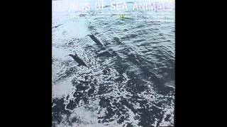 sounds of sea animals part 2 porpoise sounds [upl. by Ellga51]