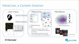 Investigating The Molecular Mechanisms Of Aristolochic Acidinduced Kidney Toxicity  Webinar [upl. by Schofield]