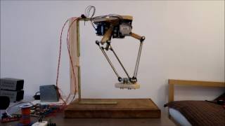 DIY Delta Robot using stepper motors  1st Demonstrator [upl. by Alahs189]