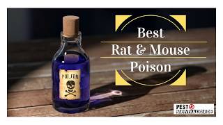 Best Rat amp Mouse Poison [upl. by Martinson]