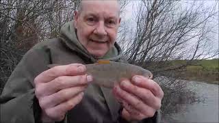 River Adur The Fork Monday 5th February 2024 [upl. by Nyvar]