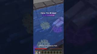 How To Breed Axolotls In minecraft 120 Java [upl. by Correna]