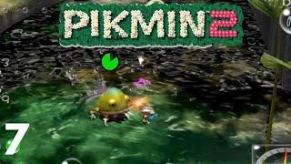 Exploring more of the perplexing pool  Pikmin 2 [upl. by Kalmick]