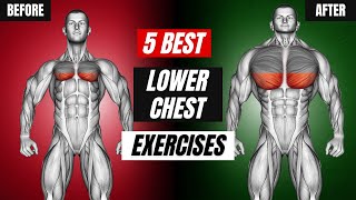 LOWER CHEST WORKOUT Top 5 Exercises to SCULPT amp BUILD Your Chest [upl. by Piane685]