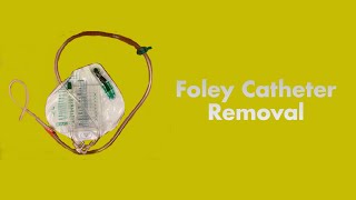 Foley Bladder Catheterization FEMALE ASE [upl. by Quintus788]