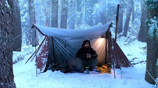 Hot Tent Snow Camping In Old Growth Forest  Wood Stove Cheese Steak [upl. by Sig]