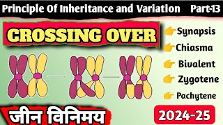 Class 12  Crossing Over  जीन विनिमय  Principle of Inheritance and Variation [upl. by Nylrehc]