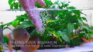 Cleaning Aquarium  Weekly Maintenance Routine [upl. by Nylarej]