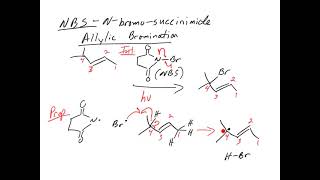 NBS nbromosuccinimide reaction mechanism for allylic bromination [upl. by Adnalahs]