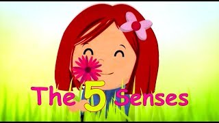 The 5 Senses  Toyor Baby English [upl. by Ntisuj]