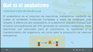 Catabolismo y el Anabolismo celular BIOLOGIA [upl. by Esiuqcaj997]