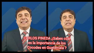 CARLOS PINEDA ¿Sabes cuál es la importancia de los Cocodes en Guatemala [upl. by Seugirdor]