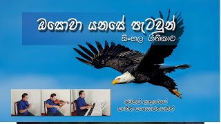 ඔසොවා යනසේ පැටවුන්  Osowa Yanase patawun  On Eagles Wings with Lyrics [upl. by Anitnuahs]