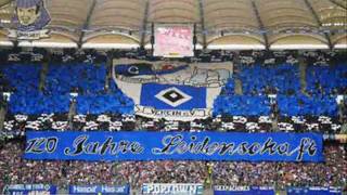 HSV Bist unser Leben FANtastic song [upl. by Lleunamme]