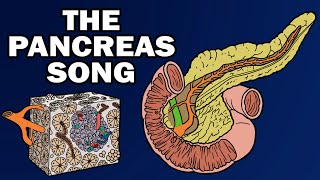 THE PANCREAS SONG [upl. by Adohr]