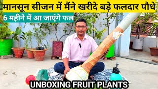 Rare Variety Fruit Plants Unboxing  ऑनलाइन खरीदे बड़े फलदार पौधे 6 महीने में आ जाएंगे फल [upl. by Ennayar463]