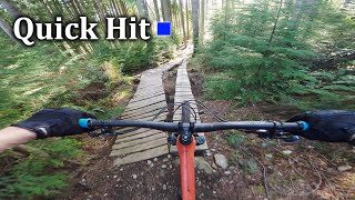 Quick Hit  Woodlot  Maple Ridge BC [upl. by Basile]