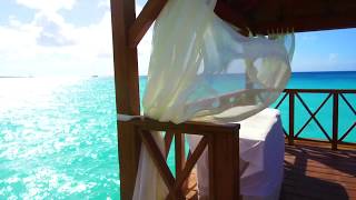 Viva Windham Dominicus Beach and Palace 2019  2020 [upl. by Lancelle]