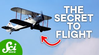 How the Wright Brothers Changed Everything We Know About Flying [upl. by Eustazio]