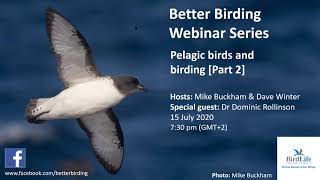 Better Birding Webinar  Pelagic birds and birding Part 2 [upl. by Nnylaehs138]