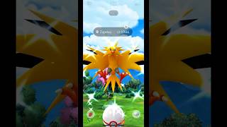 EPIC Shiny Zapdos luck ✨zapdos shinypokemon shinyhunt pokémon pokemon pokemonshorts sub [upl. by Korenblat]