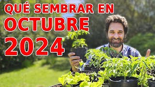 Calendario de Siembra 2024 Que sembrar en OCTUBRE en el Huerto de Otoño y de Primavera [upl. by Eissahc]