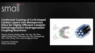 Conformal Coating of CoNDoped Carbon Layers into Mesoporous Silica [upl. by Tomchay]