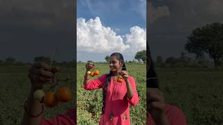 First time బెండకాయ టమాటో తోట కి వెలాం😍farming tomatofarm ladiesfinger chilliesfarm minivlog [upl. by Samal54]